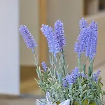 Apartamento Seaside Hrkac *