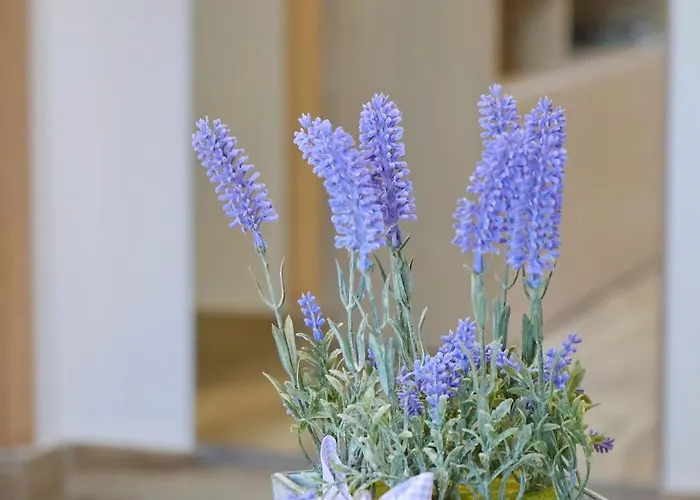 Apartment Seaside Hrkac *