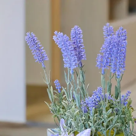 Appartement Seaside Hrkac *